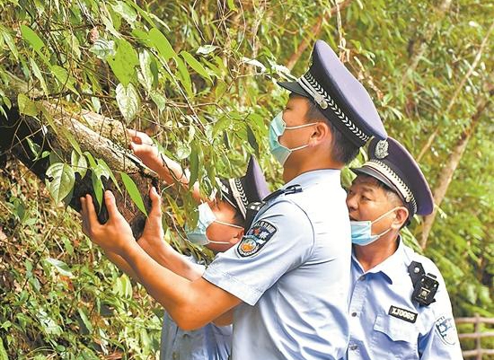 德化：民警顶着高温排查景区隐患 - 憨鼠网
