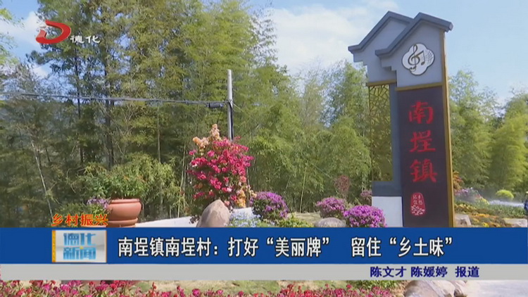 南埕镇南埕村：打好“美丽牌” 留住“乡土味” - 憨鼠网