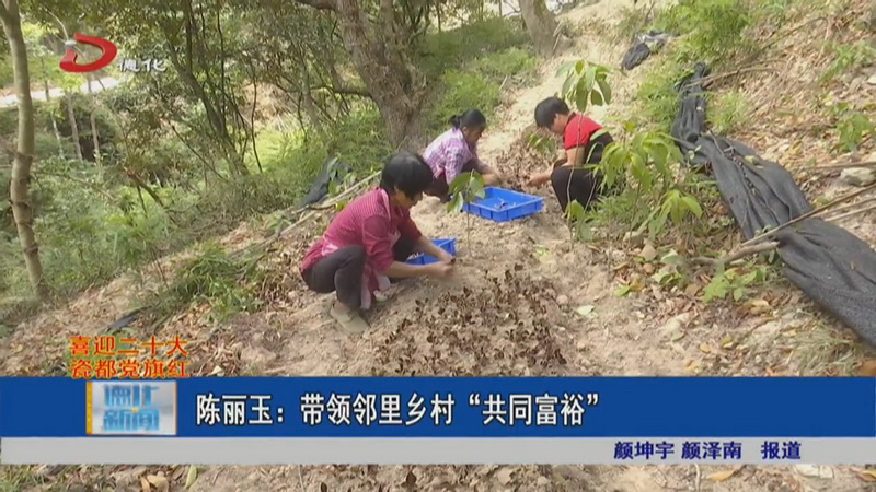 陈丽玉： 带领邻里乡村“共同富裕” - 憨鼠网