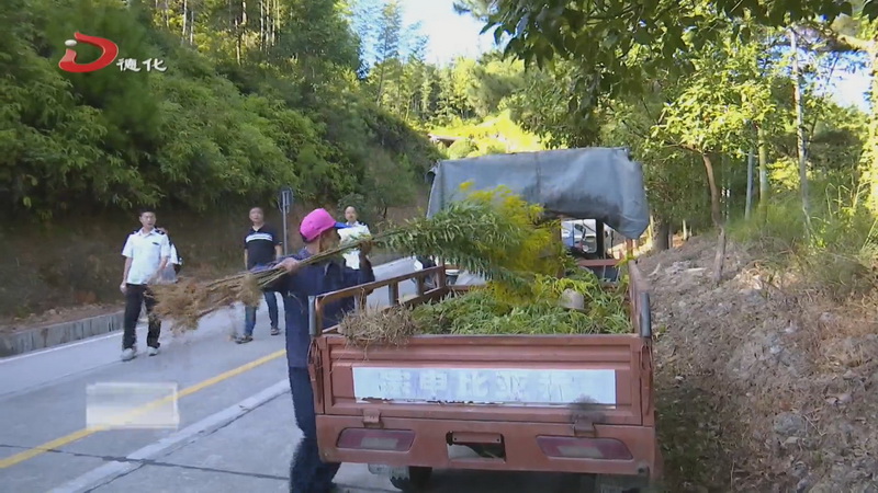 县林业局开展“加拿大一支黄花”灭除行动 - 憨鼠网