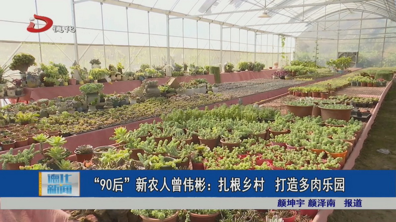 “90后”新农人曾伟彬：扎根乡村 打造多肉乐园 - 憨鼠网