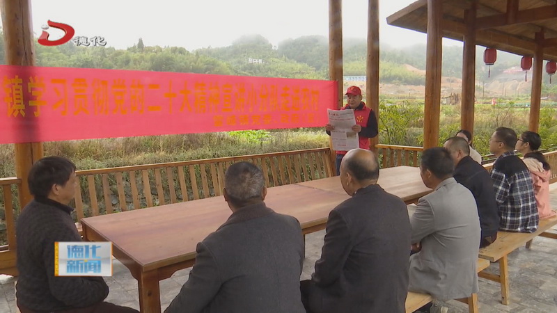 雷峰镇：“四学模式” 让党的二十大精神落地生根 - 憨鼠网