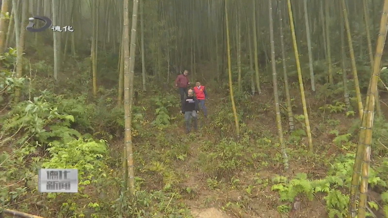 “两山转化”林业金融服务中心 书写绿水青山新画卷 - 憨鼠网