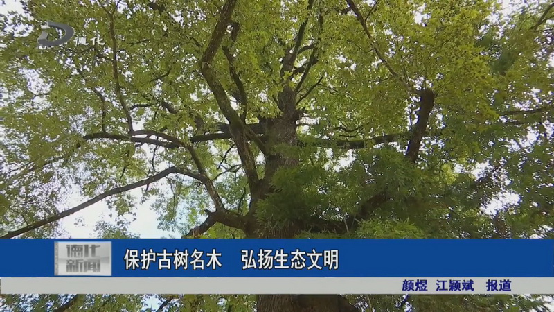保护古树名木 弘扬生态文明 - 憨鼠网