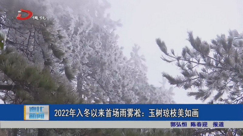 2022年入冬以来首场雨雾凇：玉树琼枝美如画 - 憨鼠网