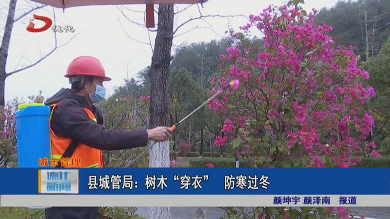 县城管局：树木“穿衣” 防寒过冬 - 憨鼠网
