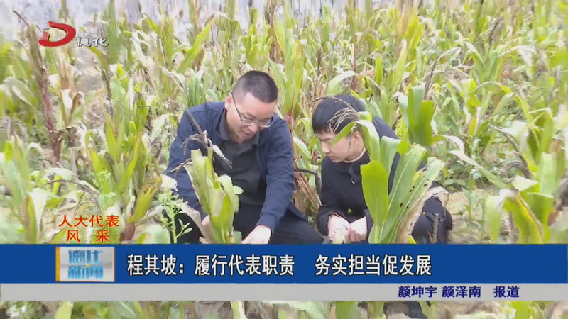 程其坡：履行代表职责 务实担当促发展 - 憨鼠网