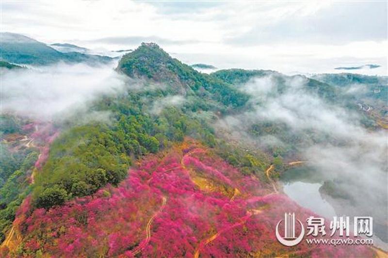 花海闹春 - 憨鼠网