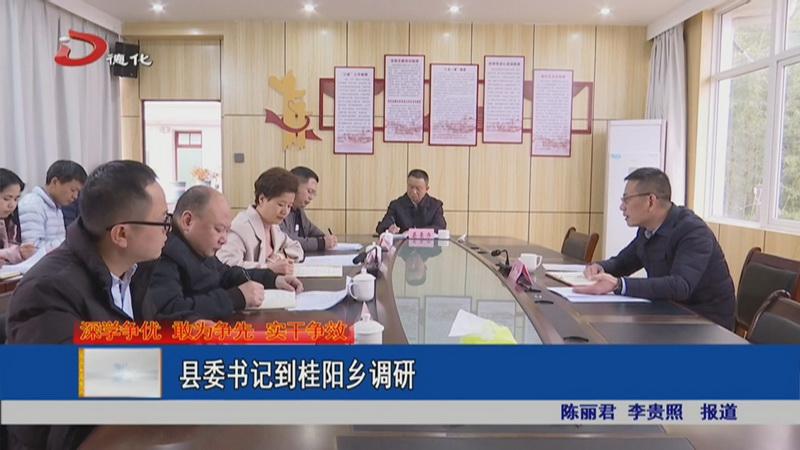 县委书记到桂阳乡调研 - 憨鼠网