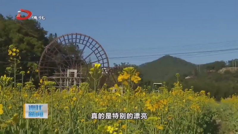 南埕镇：油菜花开啦 快来这里邂逅最美春天 - 憨鼠网