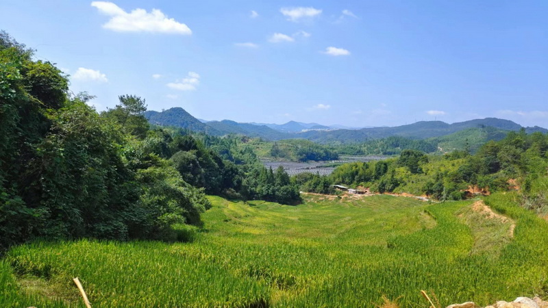 德化县获评全国首批自然资源节约集约示范县 - 憨鼠网