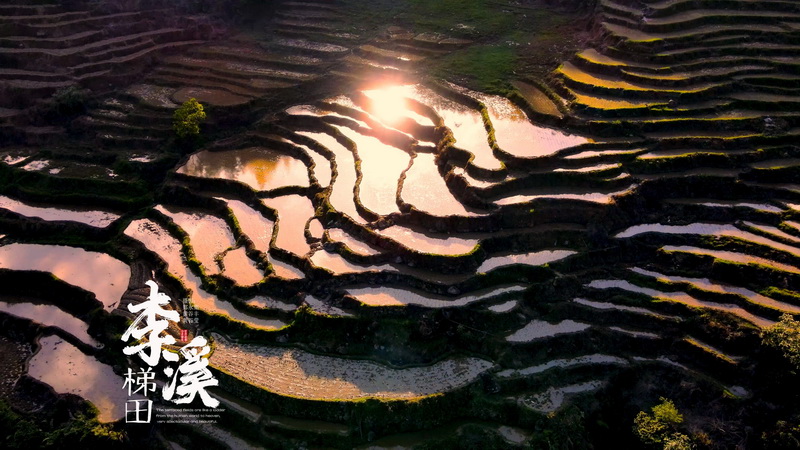 李溪： 一幅水润灵动的梯田画卷 - 憨鼠网