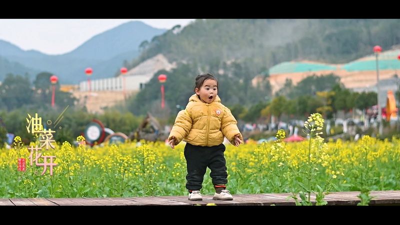 灵山秀水 醉美南埕：油菜花开 - 憨鼠网