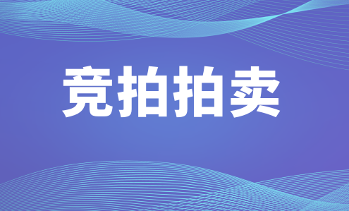 二手挖掘机3台、柴油机设备1台拍卖公告 - 憨鼠网