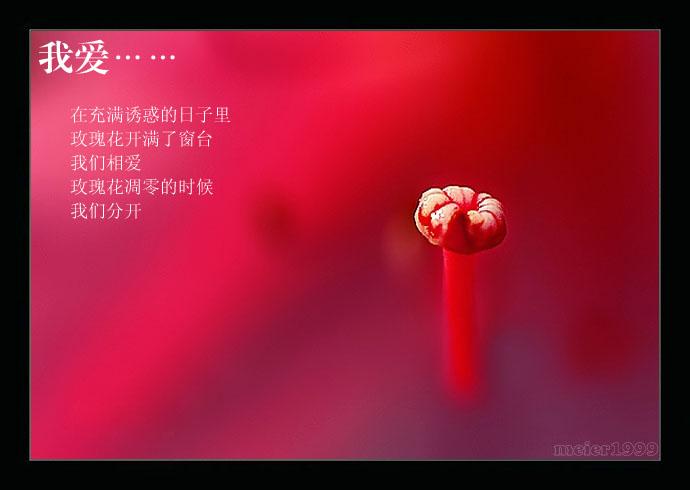 [分享]一天一点爱恋 - 德化论坛