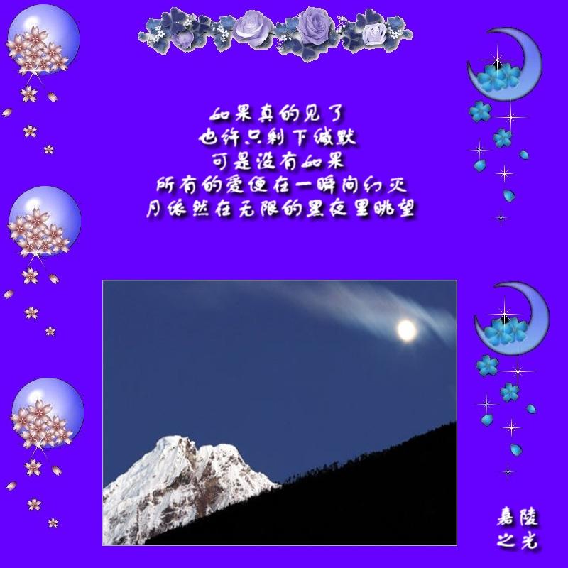 元宵聚会月色 - 德化论坛
