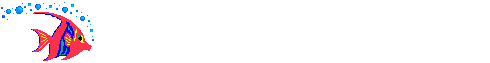 [送给毕业的学子们]【校园流行音乐】 - 德化论坛