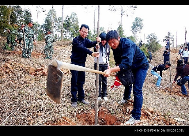 “稻草人”也种树（图） - 德化论坛