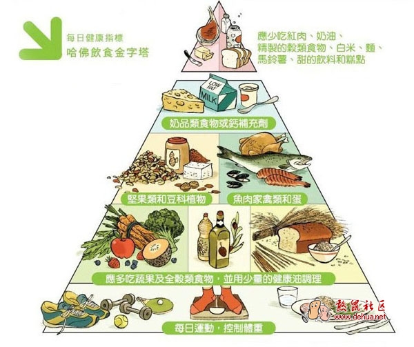 2008美国哈佛医学院的“食物金字塔” - 德化论坛