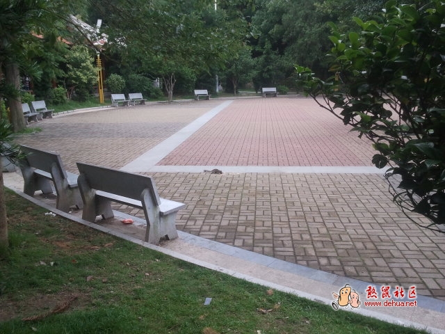 在驾云亭上居然还可以喊道小松鼠 - 德化论坛