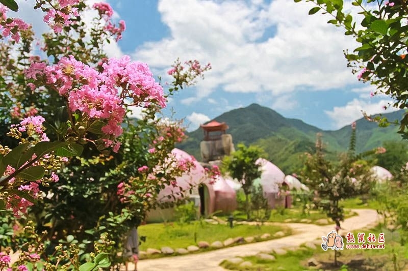 泡水恋花桃花岛 酷暑照样玩得嗨 - 德化论坛