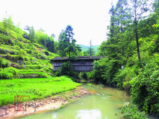 赤水：深山野地多奇桥 - 憨鼠网
