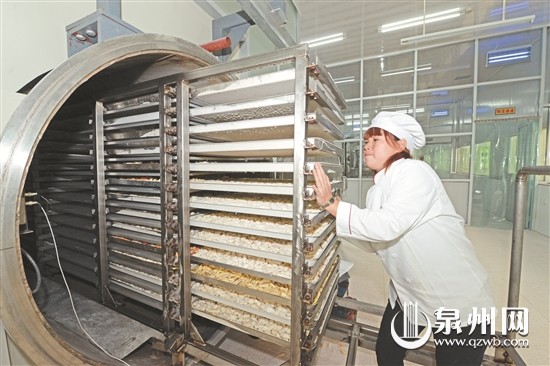 德化县英山珍贵淮山农民合作社引进的真空冷冻干燥设备正式投产 - 憨鼠网