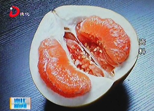 德化县黄金蜜柚荣获第十届海峡两岸林博会金奖[视] - 憨鼠网