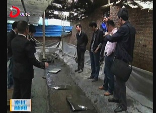 省科技厅到春美乡打石坑棘胸蛙生态养殖基地调研[视] - 憨鼠网