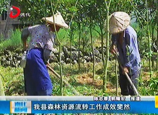 德化县森林资源流转工作成效斐然[视] - 憨鼠网