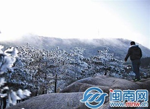福建将迎今冬以来最低温 泉州九仙山雾凇成林 - 憨鼠网