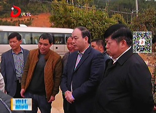 市领导到德化县开展调研和慰问活动[视] - 憨鼠网