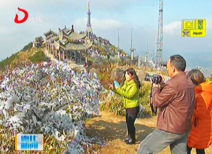 九仙山迎来新年首场雾凇[视] - 憨鼠网