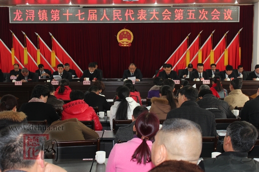 龙浔镇十七届人大第五次会议胜利闭幕 - 憨鼠网