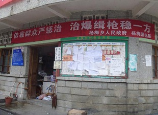 杨梅所积极开展枪爆集中整治宣传活动 - 憨鼠网