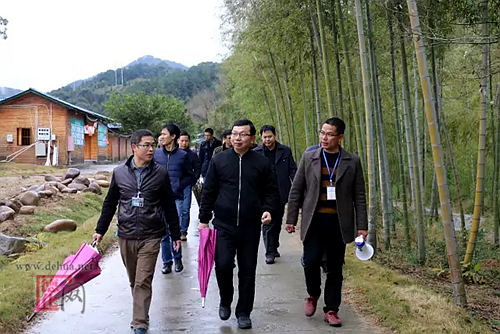 永春县考察团到南埕镇参观考察环境整治、美丽乡村建设 - 憨鼠网