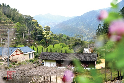 坂里“红色”旧址见证光辉岁月 - 憨鼠网