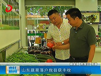 山东蔬菜落户德化县获丰收[视] - 憨鼠网
