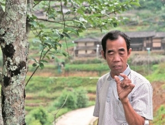 种植杜仲之路备尝艰辛 为了共同致富他不离不弃 - 憨鼠网
