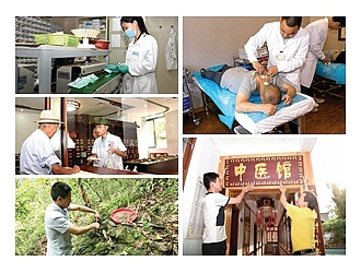 弘扬中医药 布局大健康 - 憨鼠网