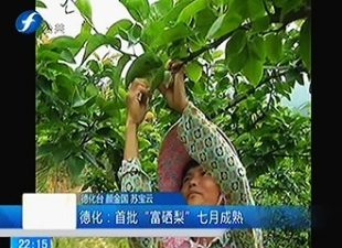 德化：首批“富硒梨”七月成熟[视] - 憨鼠网