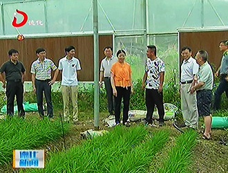 县政协主席温文英带队视察龙门滩镇项目建设情况[视] - 憨鼠网
