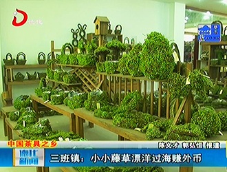 三班镇：小小藤草漂洋过海赚外币[视] - 憨鼠网