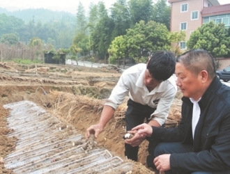 德化：产业化运作拓宽脱贫路 小淮山成了致富大产业 - 憨鼠网