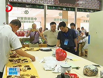 德化县创建全国基层中医药工作先进单位情况接受省级评审[视] - 憨鼠网