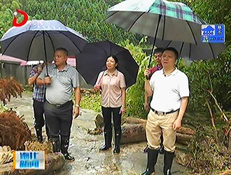 县长刘德旺检查指导防抗暴雨工作[视] - 憨鼠网