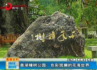 美湖樟树公园：色彩斑斓的花海世界[视] - 憨鼠网