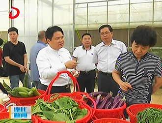 市领导陈铁晗到德化开展第二季度活动周调研[视] - 憨鼠网