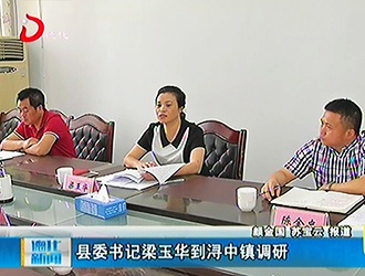 县委书记梁玉华到浔中镇调研[视] - 憨鼠网