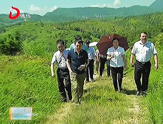 驻德化县市政协委员视察德化古窑址保护建设情况[视] - 憨鼠网